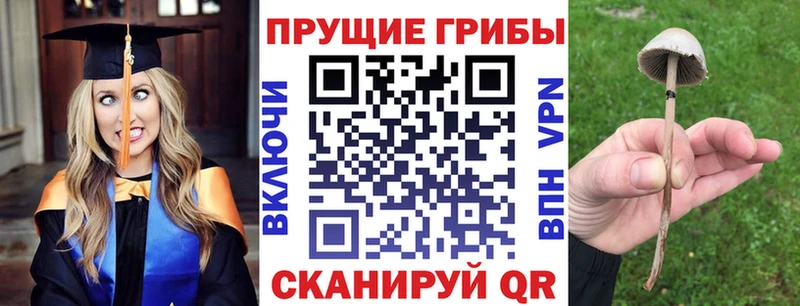 Псилоцибиновые грибы Magic Shrooms  Рузаевка 